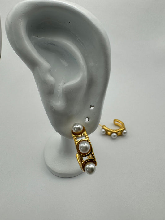 Celine earrings